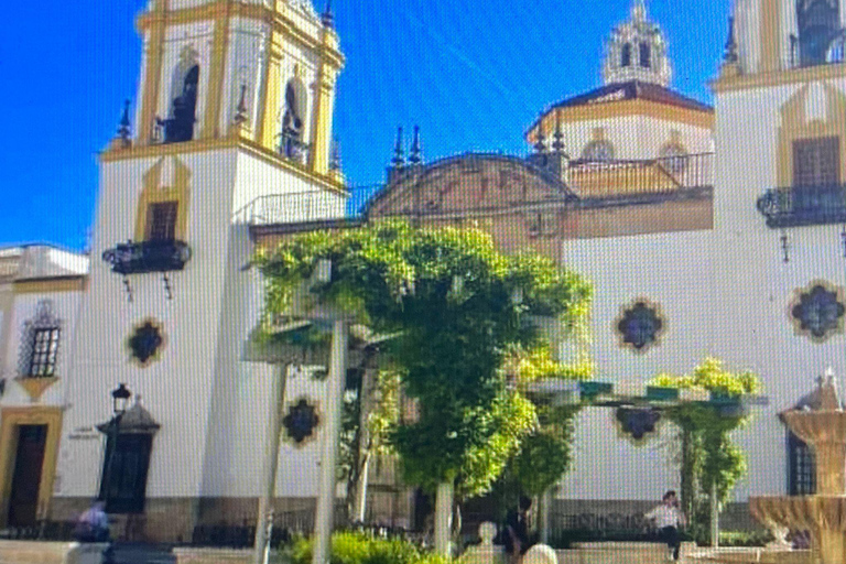 de Marbella / Estepona: excursão PRIVADA a Ronda com transporte e tapas