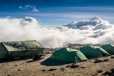 PIĘCIODNIOWY TREKKING SZLAKIEM MARANGU NA KILIMANDŻARO