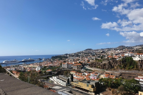 Funchal: Madeira Botanical Garden Private Tuk-Tuk Tour