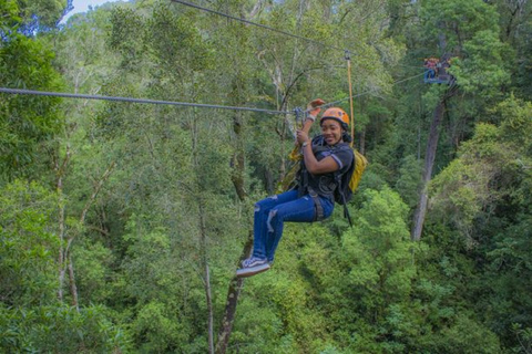 Fiume delle Tempeste: Tour con la zipline del Parco Nazionale di Tsitsikamma