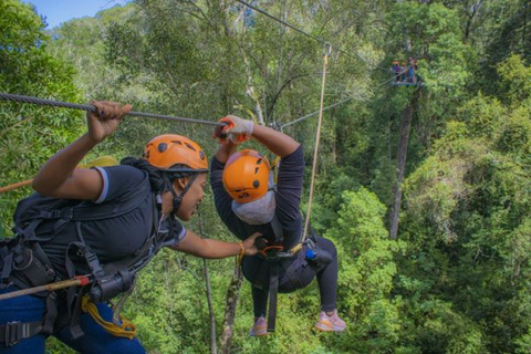 Fiume delle Tempeste: Tour con la zipline del Parco Nazionale di Tsitsikamma