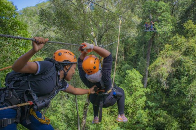 Fiume delle Tempeste: Tour con la zipline del Parco Nazionale di Tsitsikamma