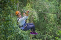 Storms River, Tsitsikamma National Park Zipline Canopy Tour - Housity