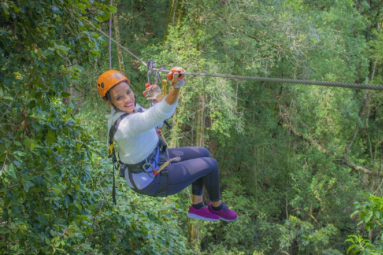 Fiume delle Tempeste: Tour con la zipline del Parco Nazionale di Tsitsikamma