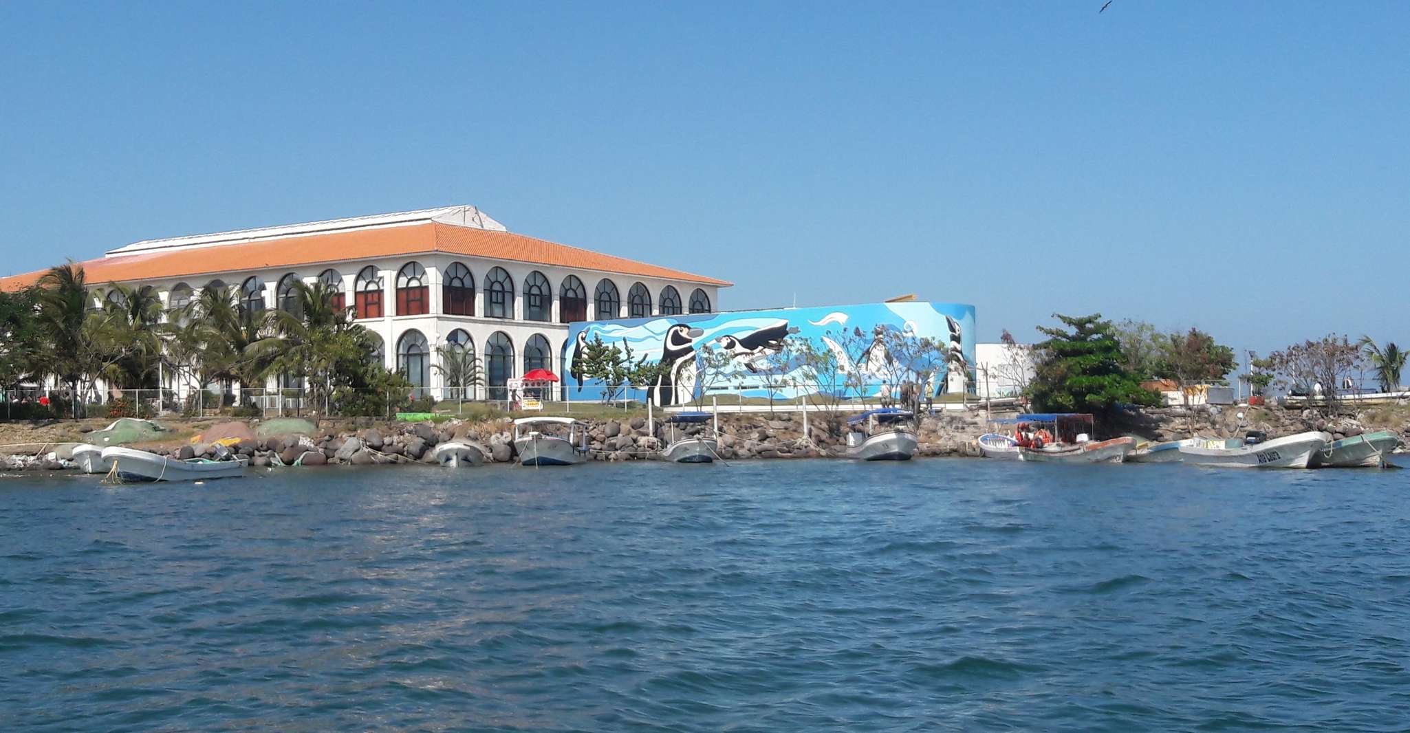 Veracruz, Akvaryum Ziyareti ile Rehberli Şehir Turu - Hizvo