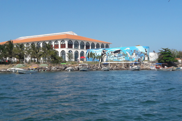 Veracruz: Guided City Tour with Aquarium Visit