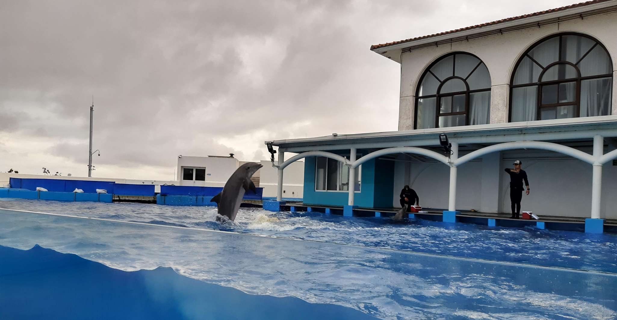 Veracruz, Akvaryum Ziyareti ile Rehberli Şehir Turu - Hizvo