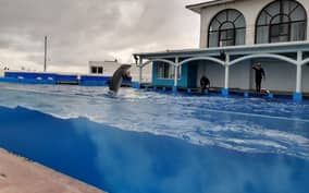 Veracruz: Guided City Tour with Ulua + Aquarium Visit