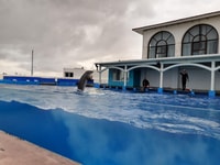 Veracruz, Visite guidée de la ville avec visite de l'aquarium - Hizvo