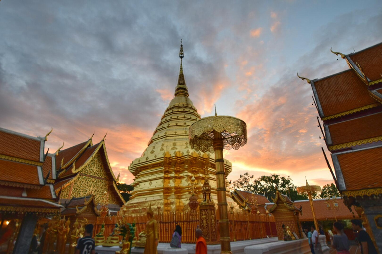 Chiang Mai après le crépuscule : Visite du Doi Suthep et du Wat Umong au crépuscule