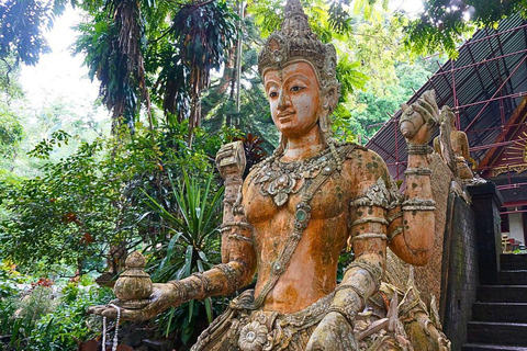 Visite du Doi Suthep et du temple Wat Pha Lat en soirée