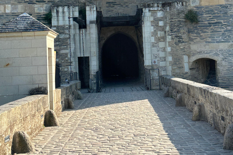 Angers: Château d'Angers, Wine Tasting, and Lunch Tour