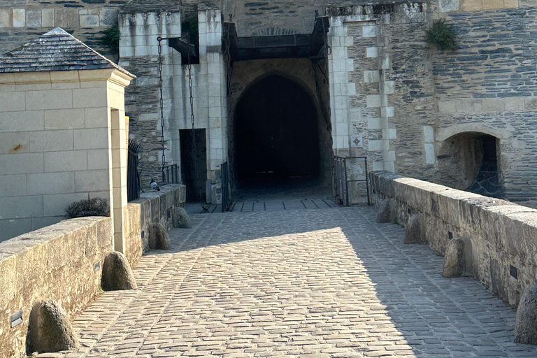 Angers: Château d'Angers, Wine Tasting, and Lunch Tour