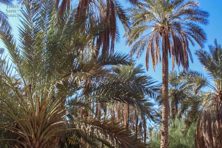 In the footsteps of Star Wars in Tunisia: 3-day tour from Djerba