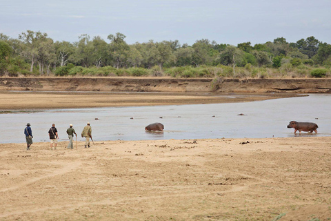 Walking Safari