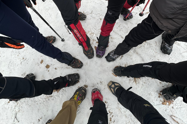 Seoul: Bukhansan Mountain Guided Hike