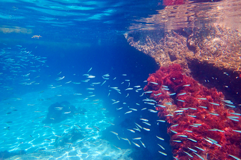 From Lisbon: Arrábida Natural Park Kayak Tour with Lunch