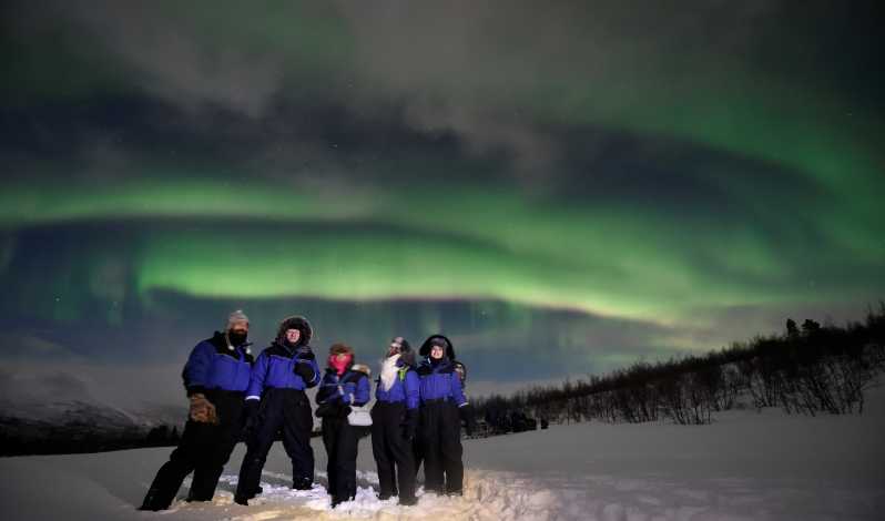 Lave om butik Drejning Abisko: Northern Lights Tour with Dinner | GetYourGuide