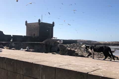 Essaouira: Private City Tour