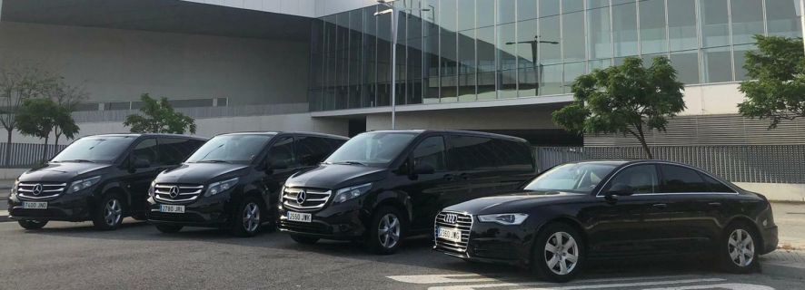 Seville: Private 1-Way Airport or Train Station Transfer