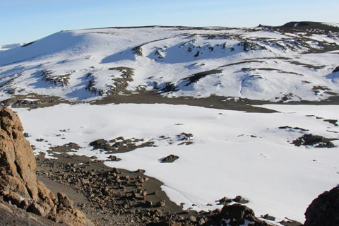 Arusha : Randonnée d'une journée sur le Kilimandjaro jusqu'à Mandara Hut