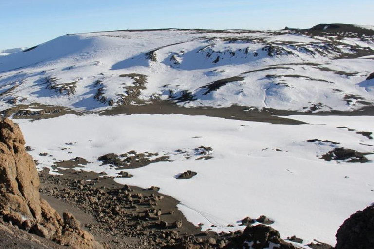 Arusha: Kilimanjaro Day Hike to Mandara Hut