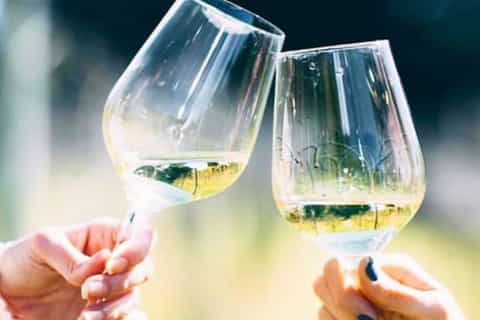 Mt Tamborine Winery & Distillery Tour + 2 Course Lunch