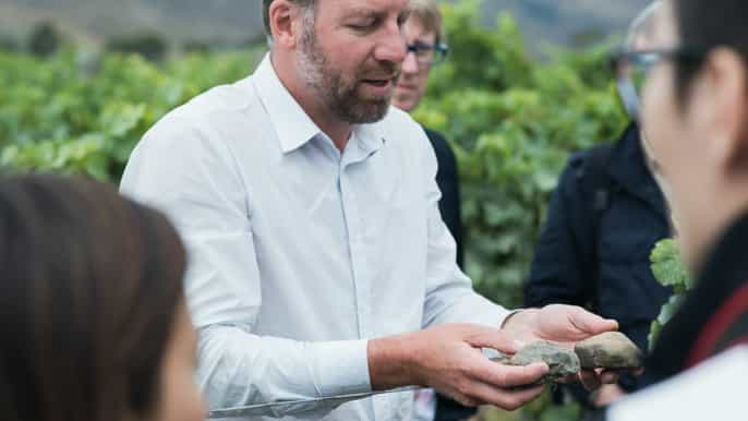 marlborough vineyard tour of cloudy bay by car