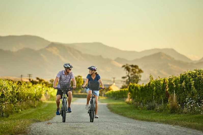 Marlborough: Private Winery Tour by Bicycle