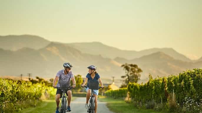 marlborough private winery tour by bicycle