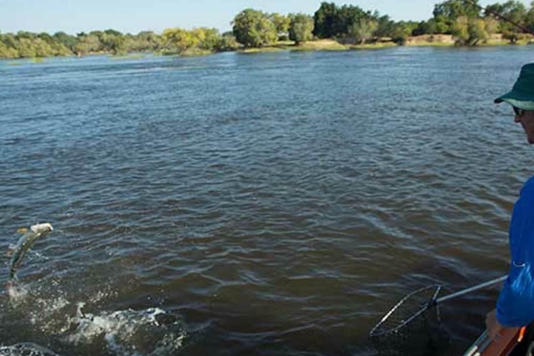 Victoria Falls: Tiger Fishing Trip op de Zambezi-rivierMiddag excursie