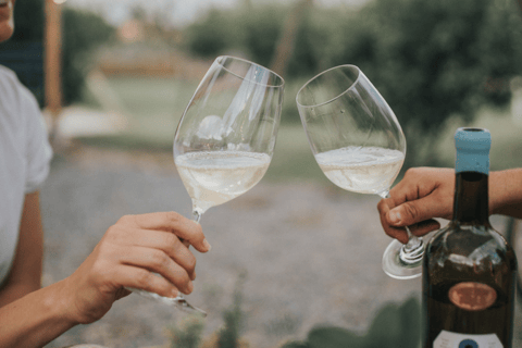 Querétaro: Rural Distillery Wine & Cider Tasting Tour