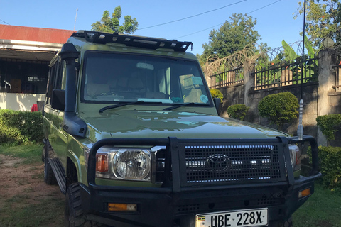 3-Day Bwindi Gorilla Trekking Safari