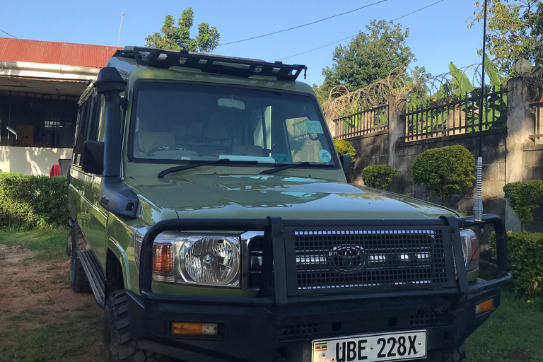 3-Day Bwindi Gorilla Trekking Safari