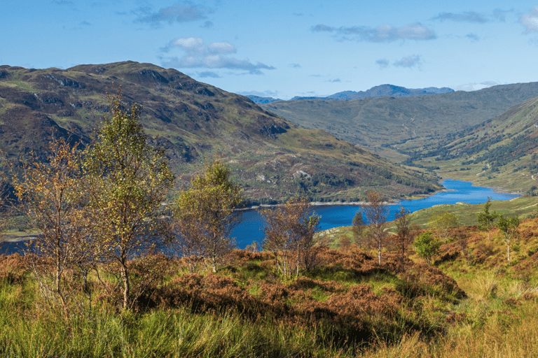 Tour in auto del Parco Nazionale di Loch Lomond e Trossachs con un&#039;appTour di Loch Lomond