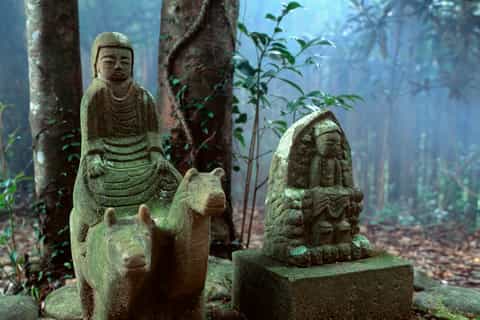 From Osaka: 2-Day Kumano Kodo Pilgrimage Route Hiking Tour