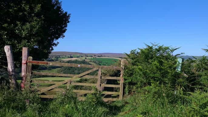 from york private walking tour of yorkshire moors