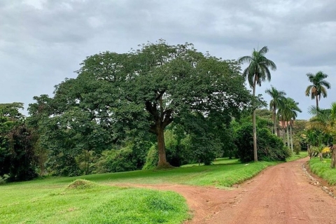 Entebbe: begeleide wandeltocht