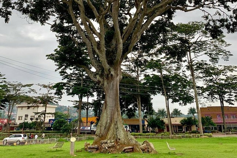 Entebbe: passeio a pé guiadoEntebbe: passeio a pé guiado - padrão (sem jardins/zoológico)