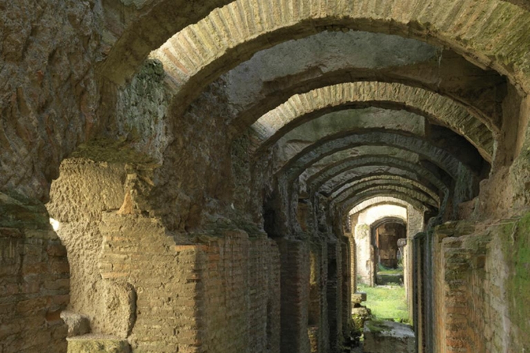 Coliseo subterráneo y la Antigua Roma: tour en grupo pequeñoTour privado de 3 horas