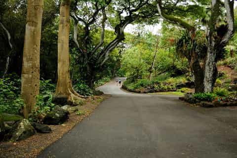 Oahu: Self-Drive Sightseeing Road Trip