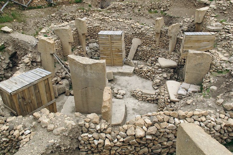 Depuis Istanbul : excursion d'une journée à GobeklitepeOption standard