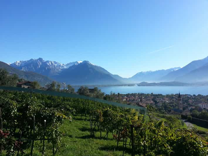 winery tour lake como