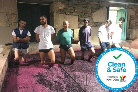 Ab Porto: Private Douro-Tal Tour mit Weinprobe & Bootsfahrt