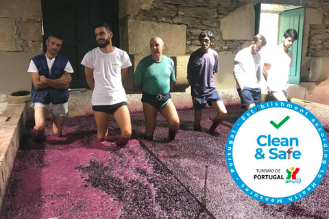 Da Porto: Tour privato della Valle del Douro con crociera e vino