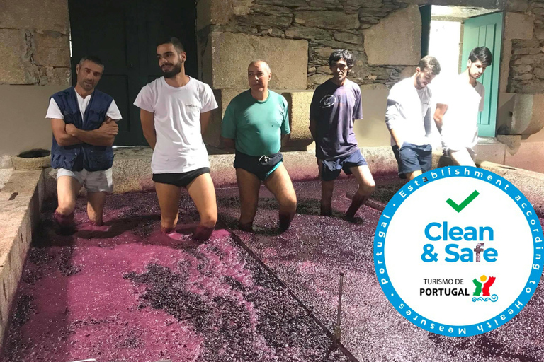 Da Porto: Tour privato della Valle del Douro con crociera e vino