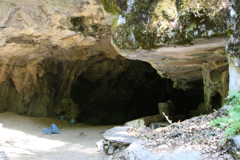 Sequoia National Park & Crystal Cave Tour from San Francisco