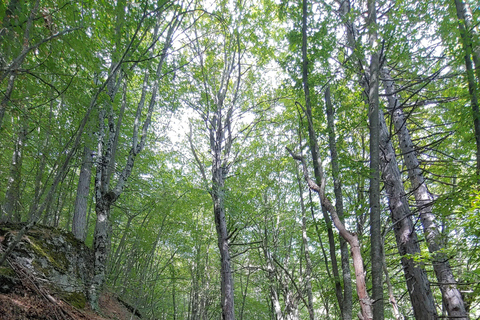 Athènes au Mont Olympe : visite privée de 2 jours