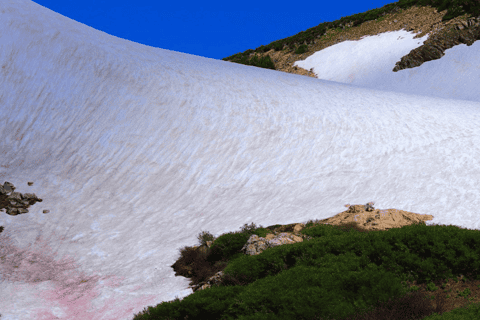 Denver: Glacier Hike and Geothermal Cave Pools