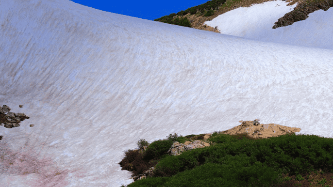 denver glacier hike and geothermal cave pools